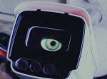 Guardian - Image 3