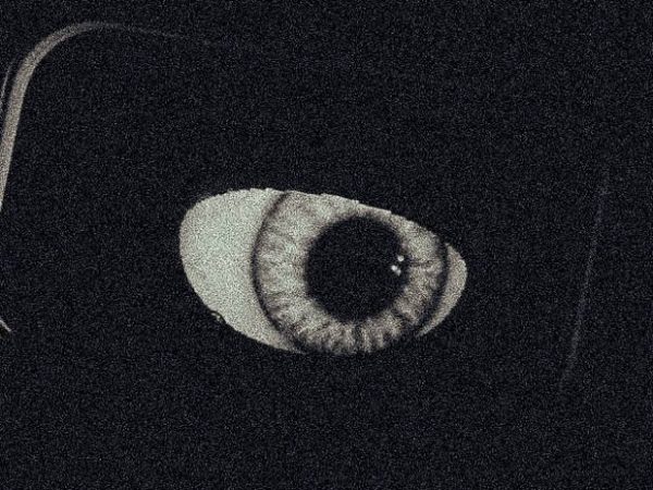 Guardian - Image 5